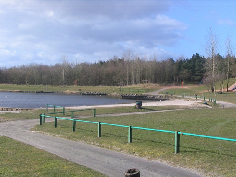 Meadows