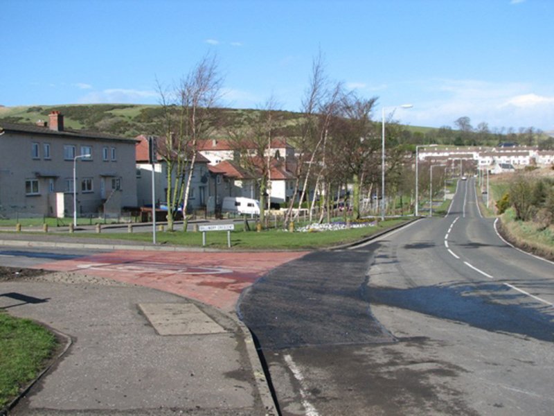 Towards the Shank